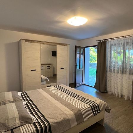 Casa Andrei Villa Cîrţişoara Exteriör bild