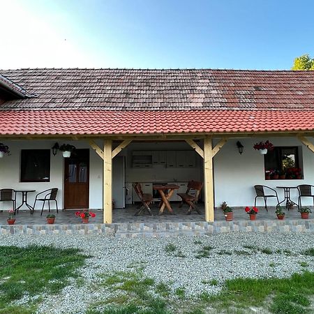 Casa Andrei Villa Cîrţişoara Exteriör bild