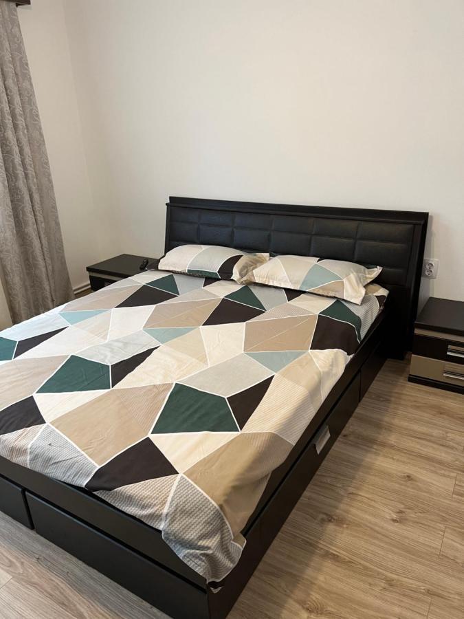 Casa Andrei Villa Cîrţişoara Exteriör bild
