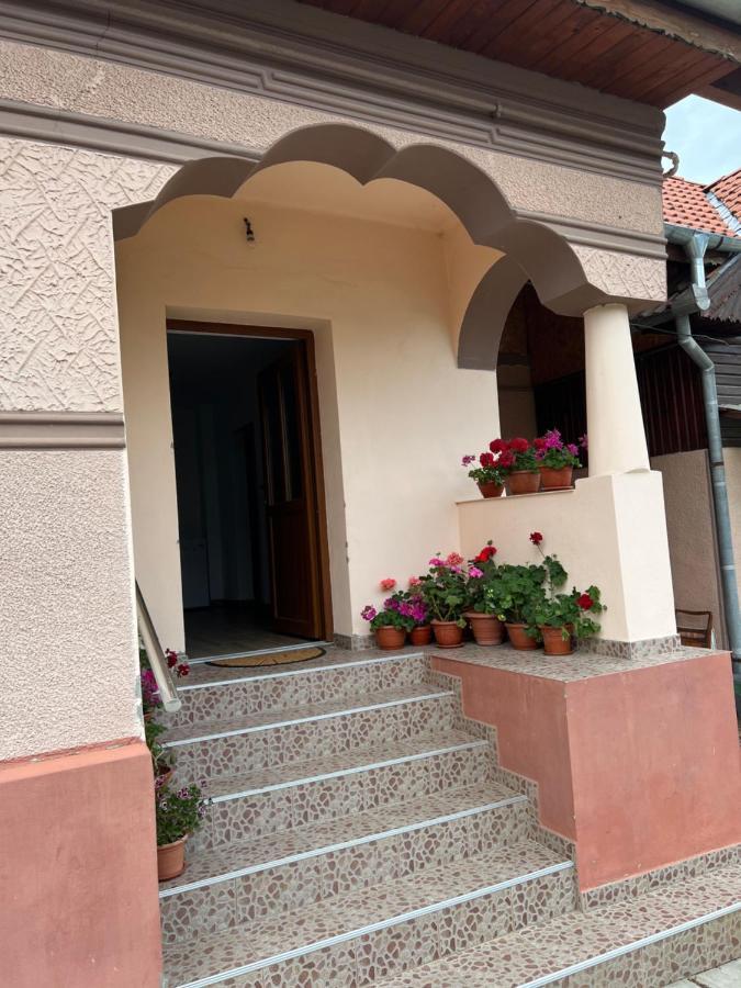 Casa Andrei Villa Cîrţişoara Exteriör bild