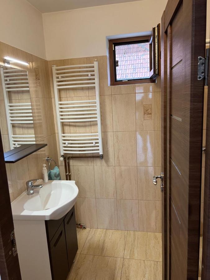Casa Andrei Villa Cîrţişoara Exteriör bild