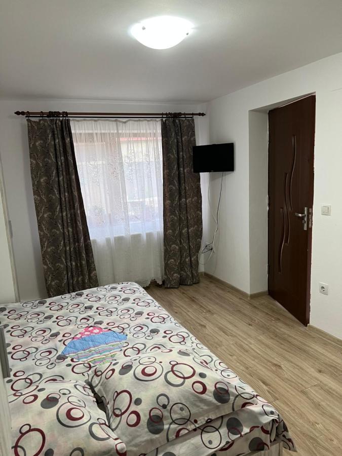 Casa Andrei Villa Cîrţişoara Exteriör bild