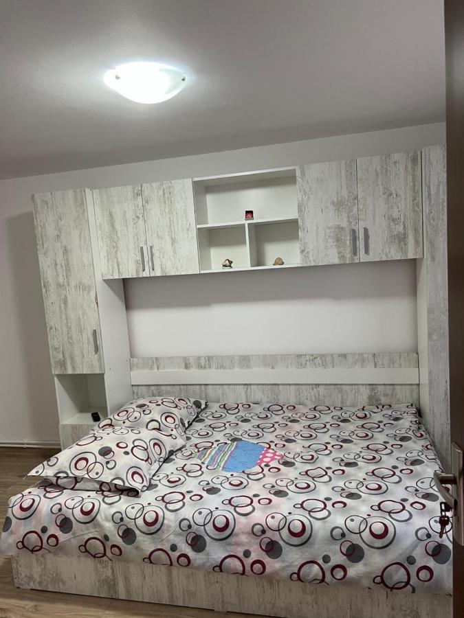 Casa Andrei Villa Cîrţişoara Exteriör bild