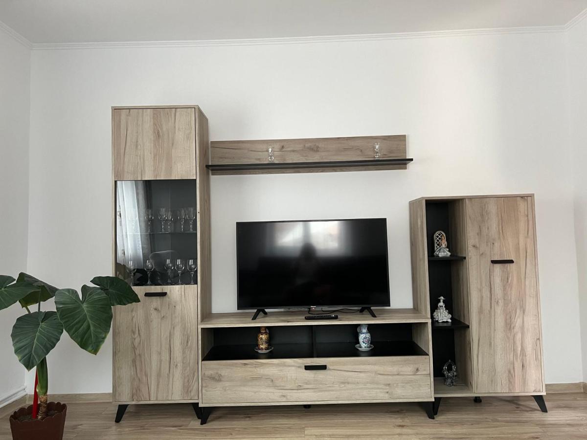 Casa Andrei Villa Cîrţişoara Exteriör bild