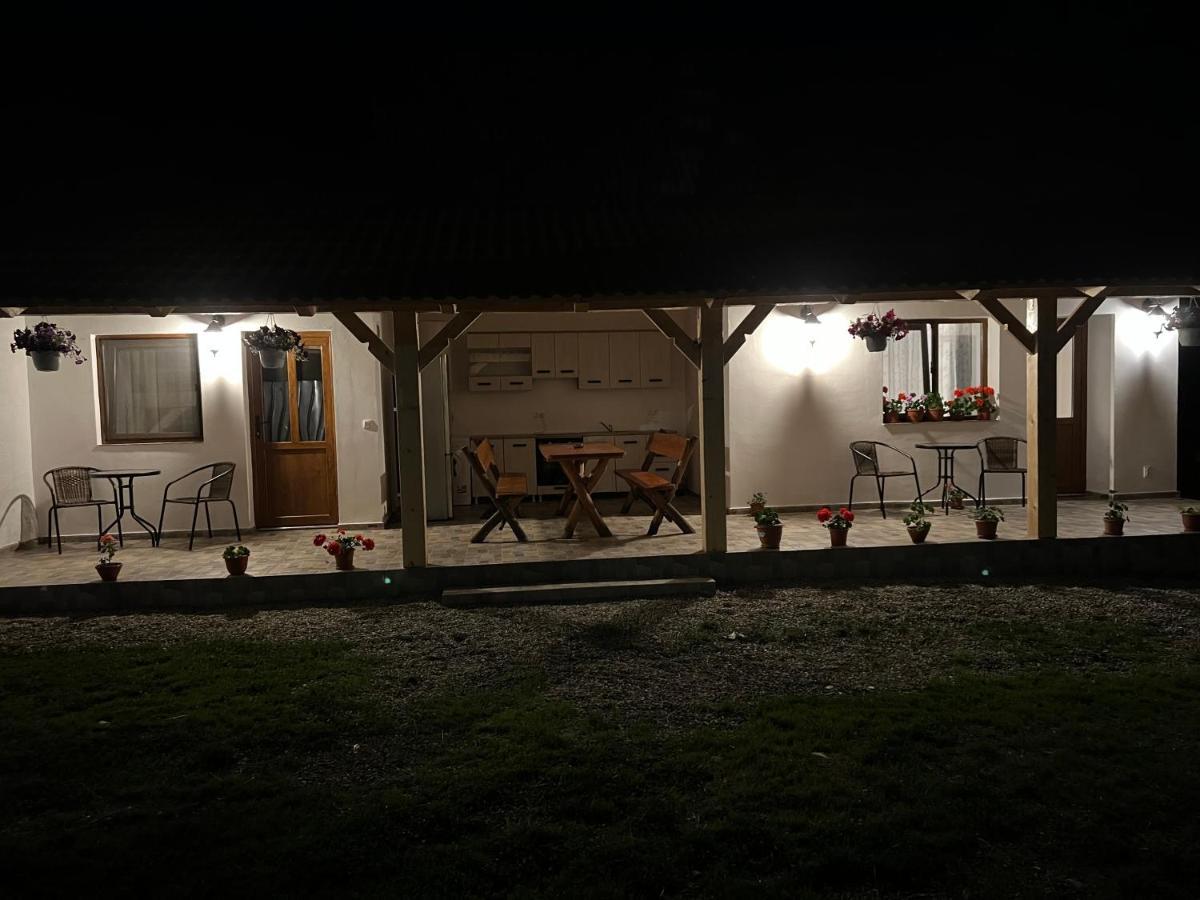 Casa Andrei Villa Cîrţişoara Exteriör bild