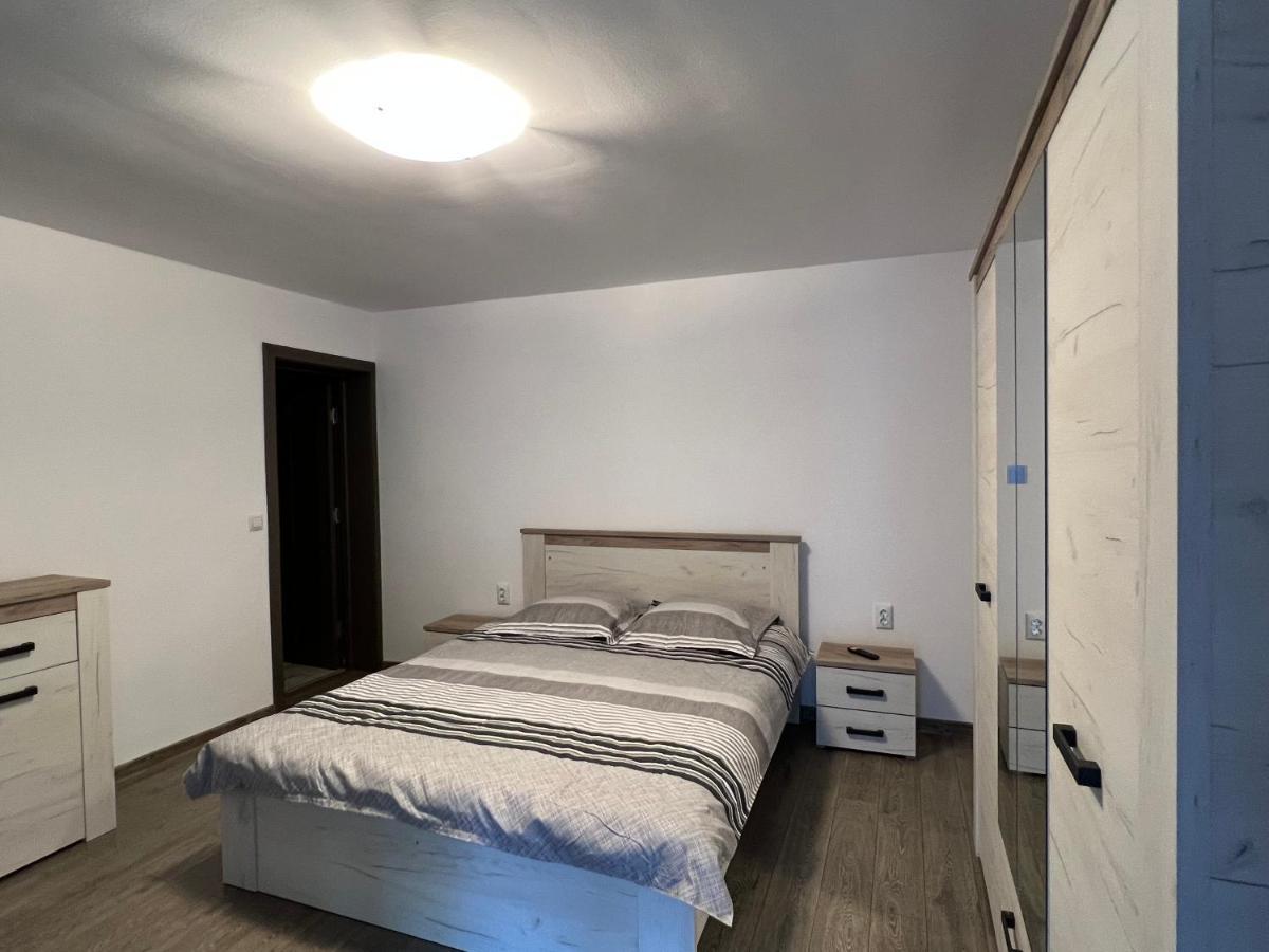 Casa Andrei Villa Cîrţişoara Exteriör bild