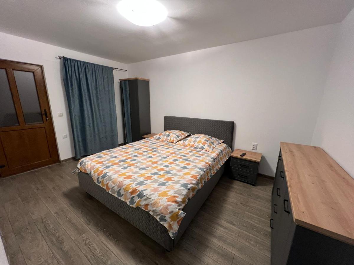 Casa Andrei Villa Cîrţişoara Exteriör bild
