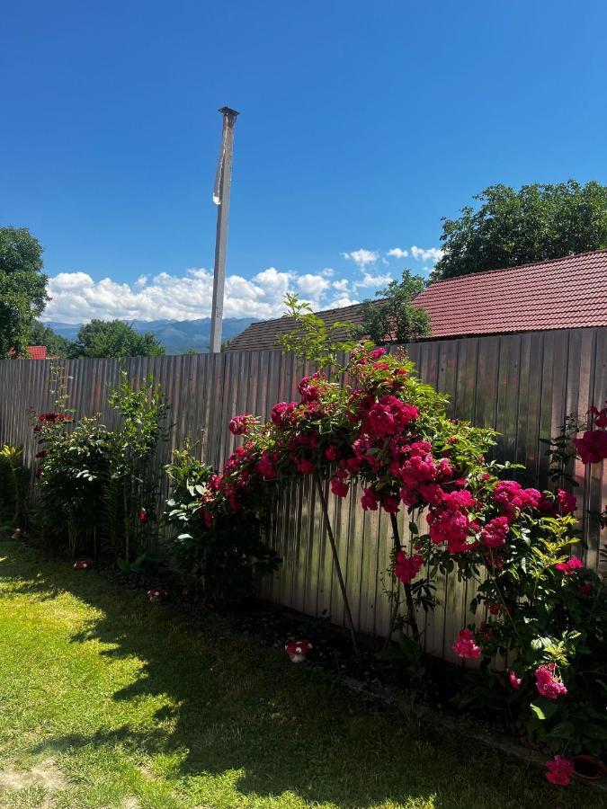 Casa Andrei Villa Cîrţişoara Exteriör bild
