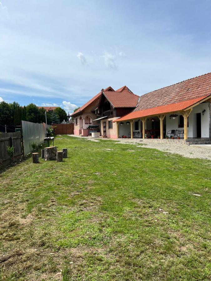Casa Andrei Villa Cîrţişoara Exteriör bild