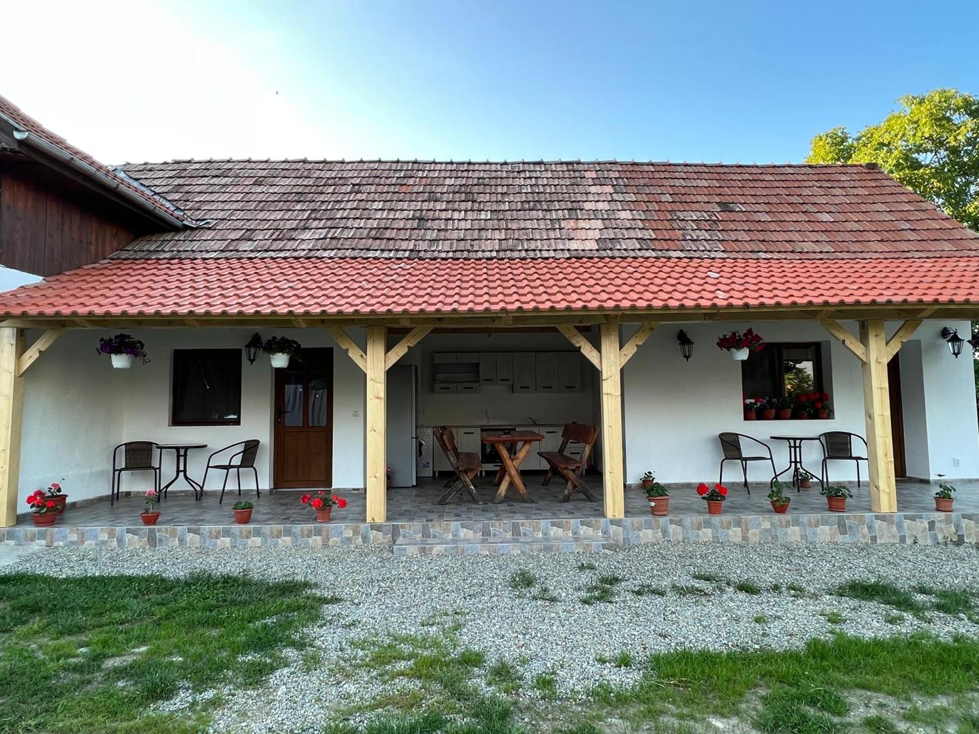 Casa Andrei Villa Cîrţişoara Exteriör bild